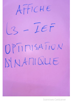 L3-IEF opti dyna Président Abazene.pdf
